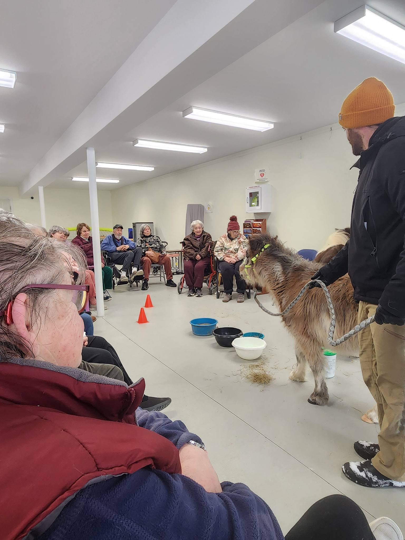 Mom and I horsed around after lunch, and had fun with a visit from Le Petit Ranch at the Senior Center today.