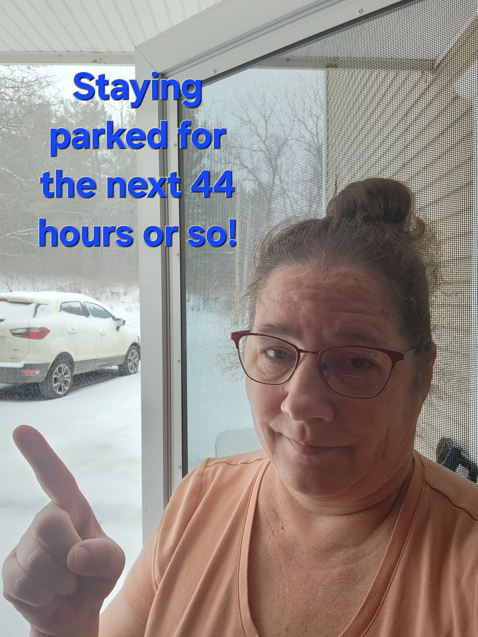 One great thing about this storm, is that it gives me a chance to stay home, with no place to go, which is very, very rare for me these days.  Using the time to relax, but also work on some housework as well as my Pampered Chef business.

How are you spending your snow days?