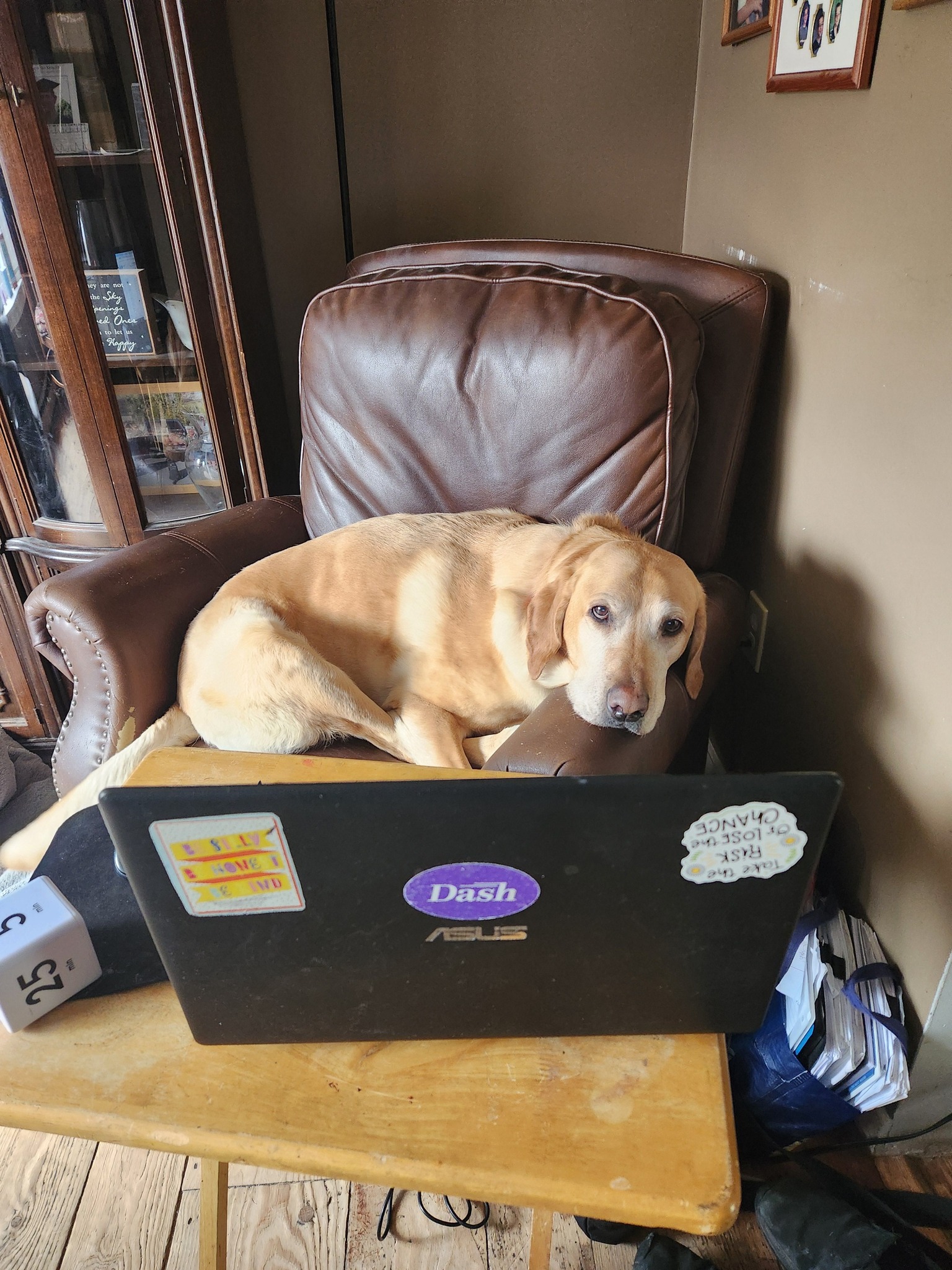 My coworker is slacking today.